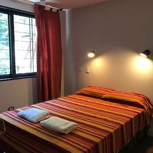 Lapacho Hostel Salta Coliving
